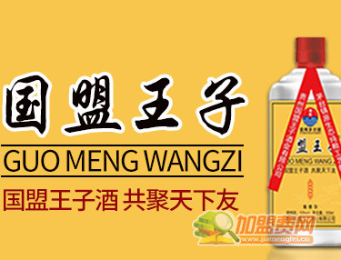 国盟王子酒业加盟