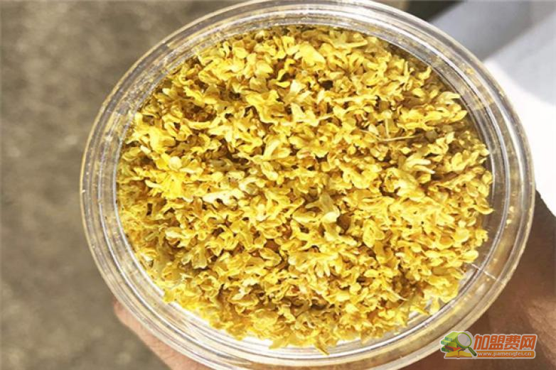 干桂花加盟