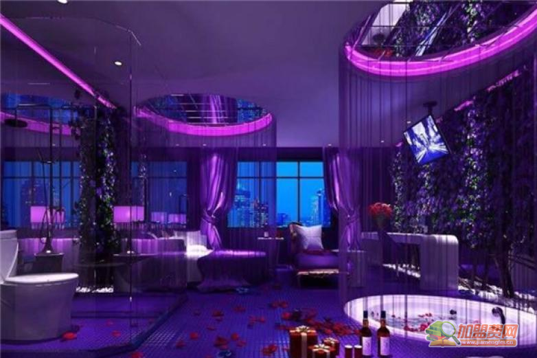 羽蜻蜓音乐情侣主题酒店加盟