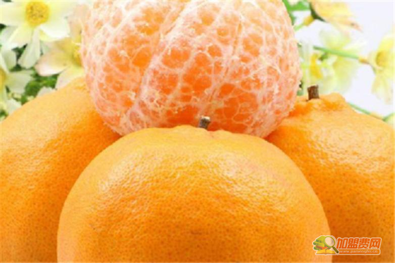 食范半成品生鲜超市加盟 食范半成品生鲜超市加盟