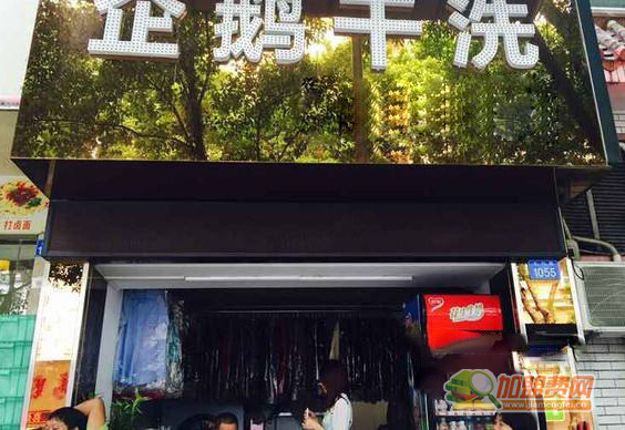 企鹅干洗加盟门店