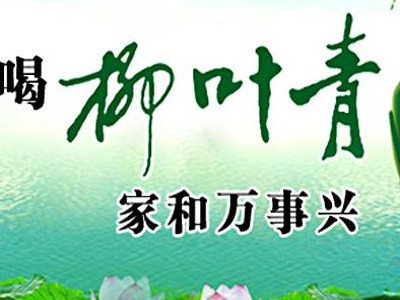 柳叶青酒加盟