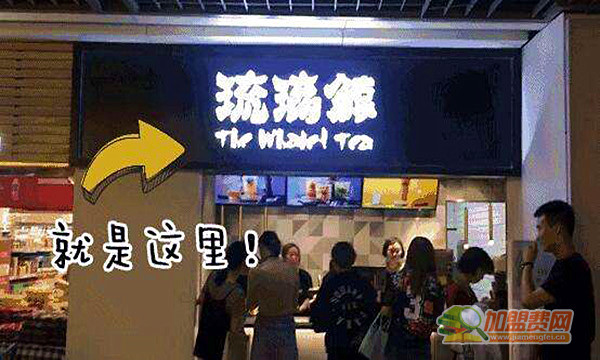 琉璃鲸加盟费