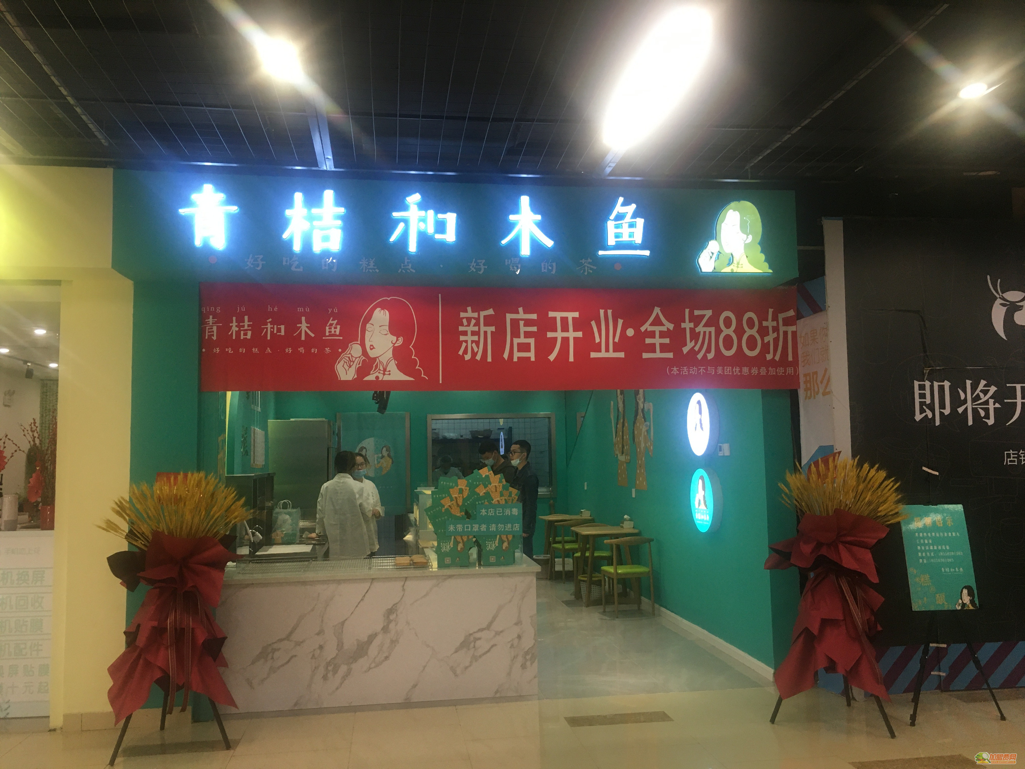 青桔和木鱼加盟