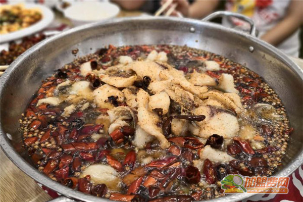 江河百鱼庄加盟费