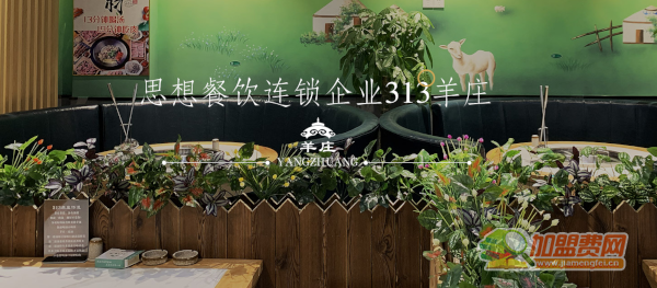 313羊庄加盟