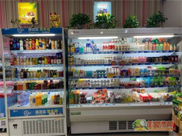 天成零食加盟