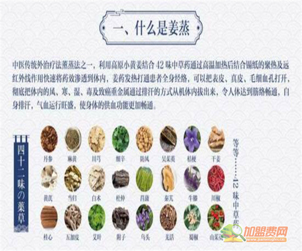 美人鱼古法姜蒸加盟