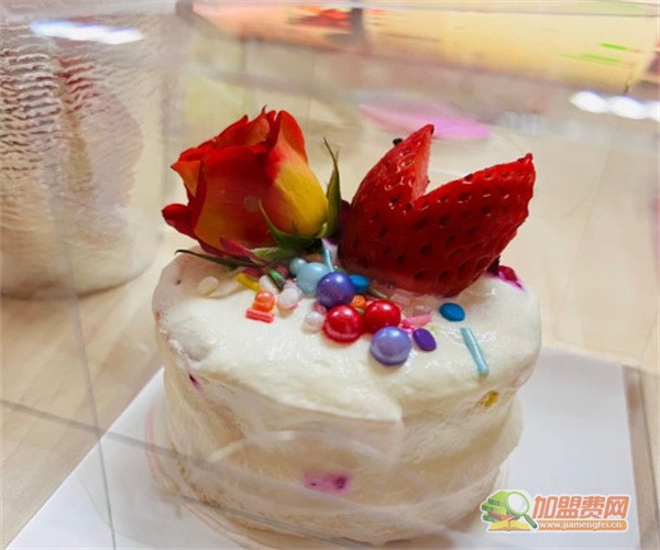 川城纪酸菜鱼加盟