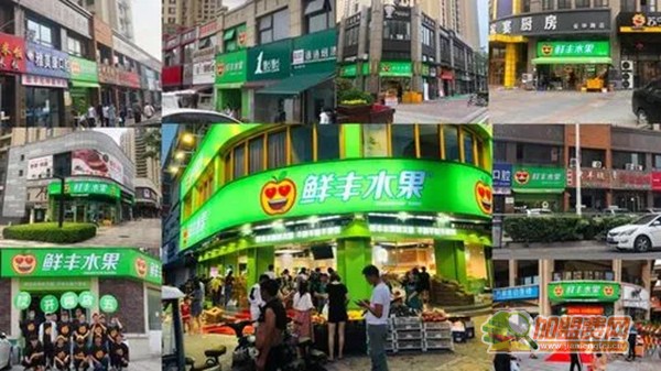 鲜丰水果加盟