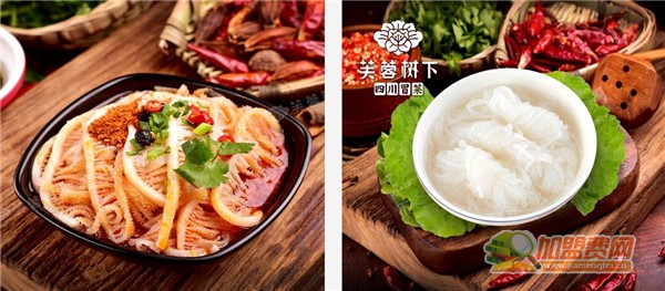 芙蓉树下加盟
