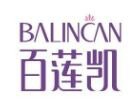 百莲凯加盟费