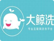 大鲸洗干洗加盟