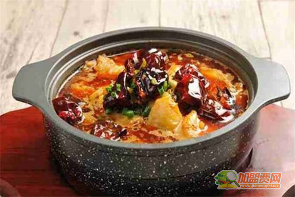 久哥斗鱼钵钵鱼加盟须知 久哥斗鱼钵钵鱼加盟费多少