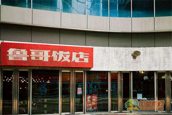 鲁哥饭店怎么加盟 鲁哥饭店加盟多少钱