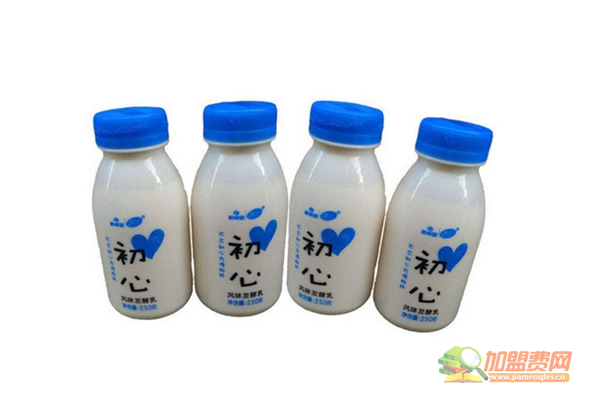 初心牛奶加盟费多少钱 如何加盟初心牛奶