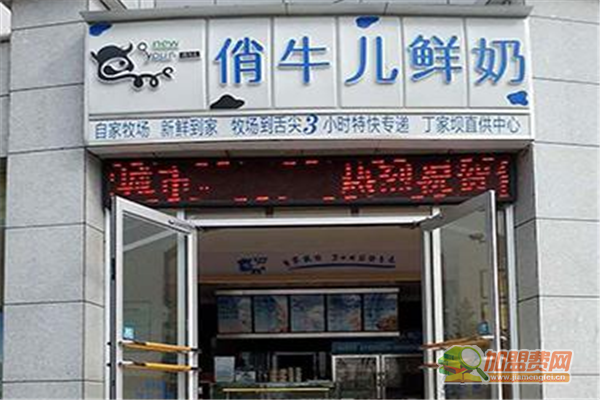 俏牛儿鲜奶加盟费多少钱 俏牛儿鲜奶加盟条件
