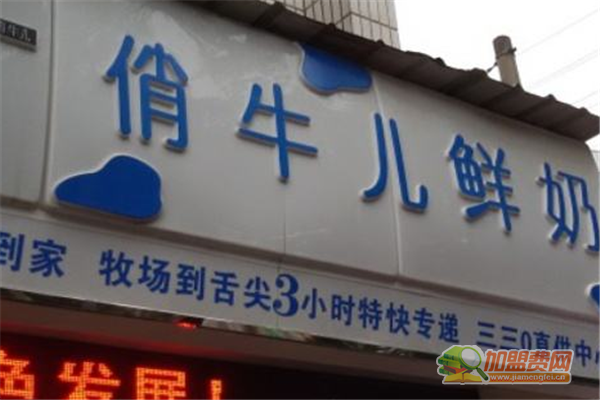 俏牛儿鲜奶加盟费多少钱 俏牛儿鲜奶加盟条件