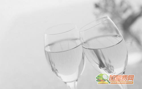 烧酒加盟
