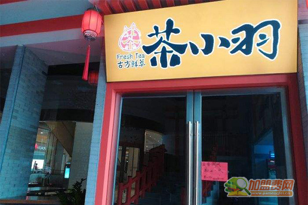 茶小羽加盟