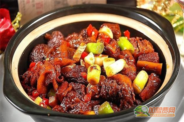 九龙牌黄焖鸡加盟