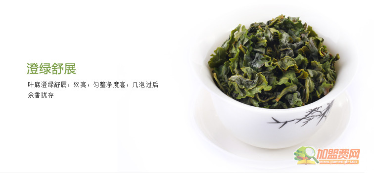 正宗安溪铁观音加盟