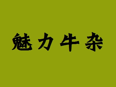 魅力牛杂加盟
