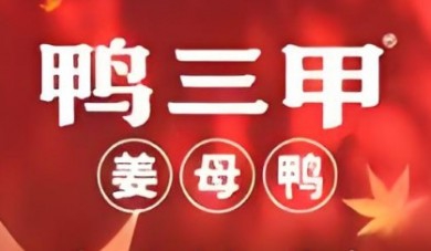 鸭三甲姜母鸭加盟
