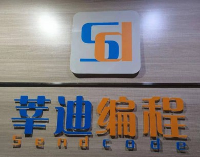 莘迪少儿编程加盟费