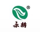 田永耕硬笔书法加盟