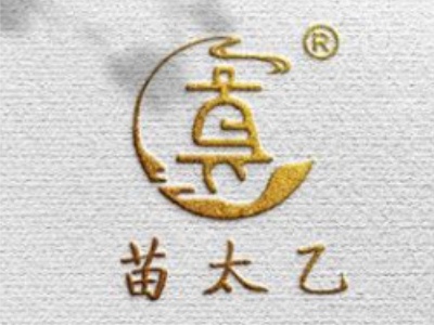苗太乙皮肤科加盟费