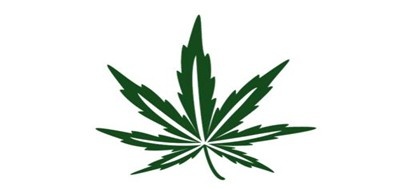 汉麻世家加盟费