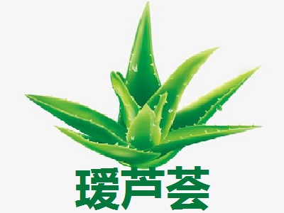 瑷芦荟加盟费