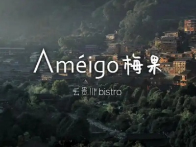 ameigo梅果云贵川加盟