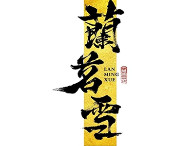兰茗雪加盟费